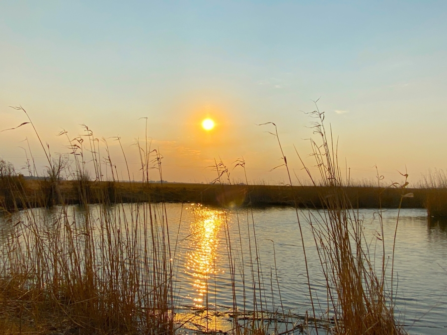 0 Bedroom Property for Sale in Cloudy Creek Free State